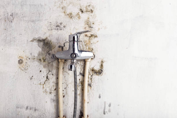 Mold Testing and Removal in Shell Lake, WI