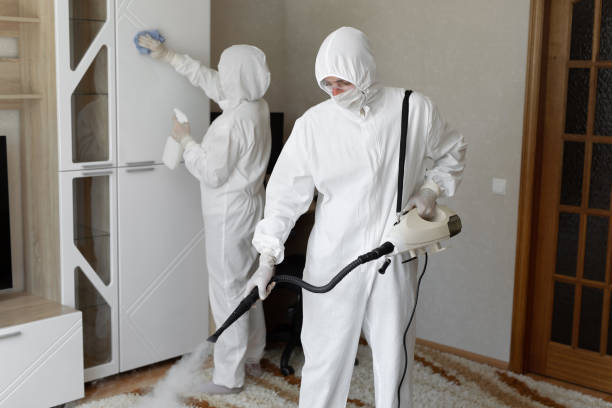 Best Toxic Mold Removal  in Shell Lake, WI