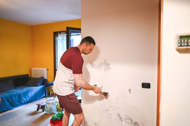 Best Mold Testing and Removal  in Shell Lake, WI